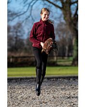 Hobby Horse - Bay (includes bridle) - Image 3