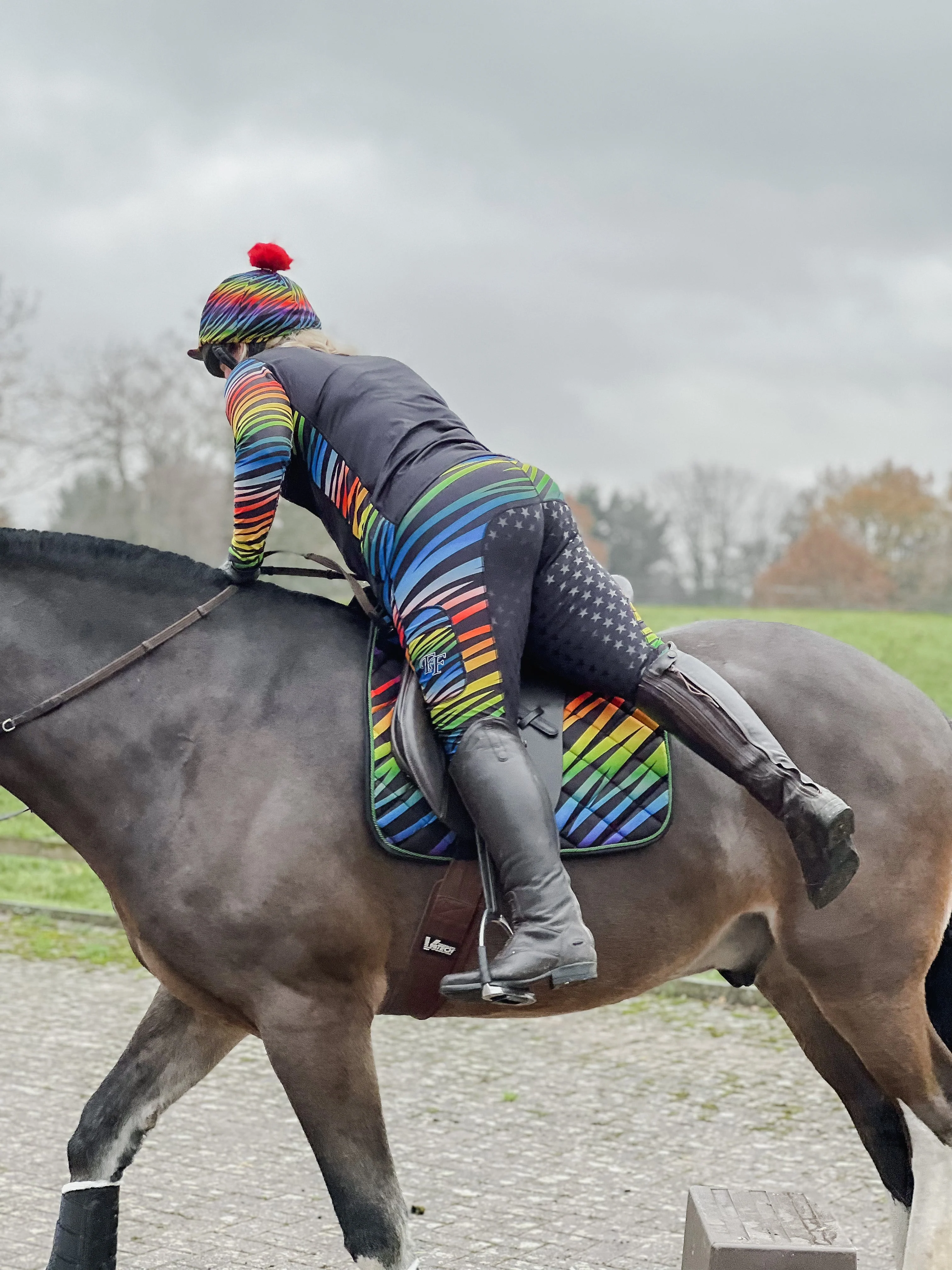Rainbow Zebra Jodhpurs - Kids - Image 4