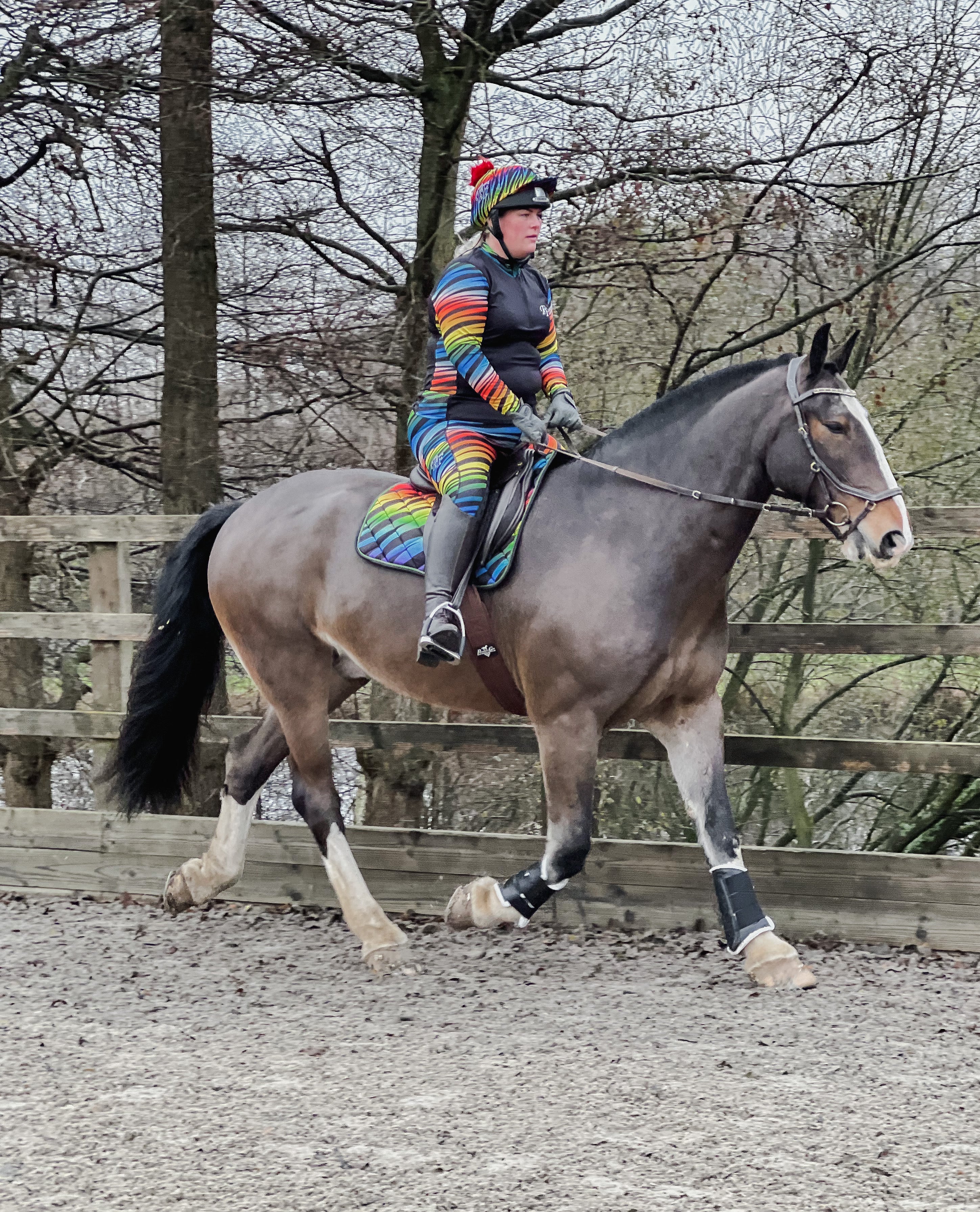 Rainbow Zebra Jodhpurs - Kids - Image 7